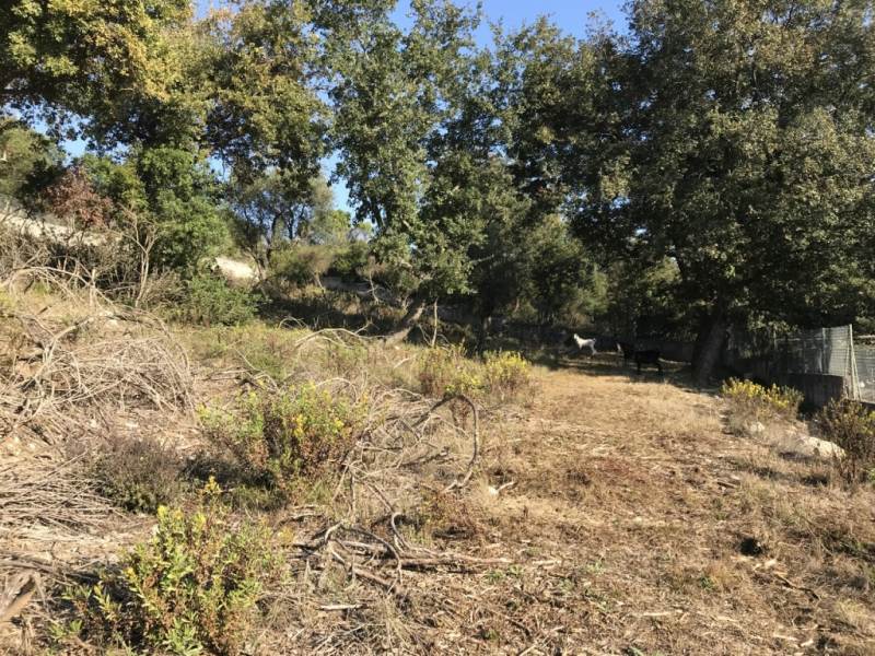 Listing photograph 3 of 4 of the land in Pikoulatika, published by Roula Rouva Real Estate.