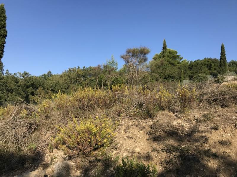 Listing photograph 2 of 4 of the land in Pikoulatika, published by Roula Rouva Real Estate.