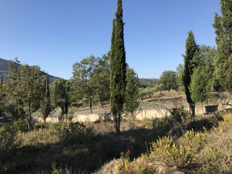 Listing photograph 4 of 4 of the land in Pikoulatika, published by Roula Rouva Real Estate.