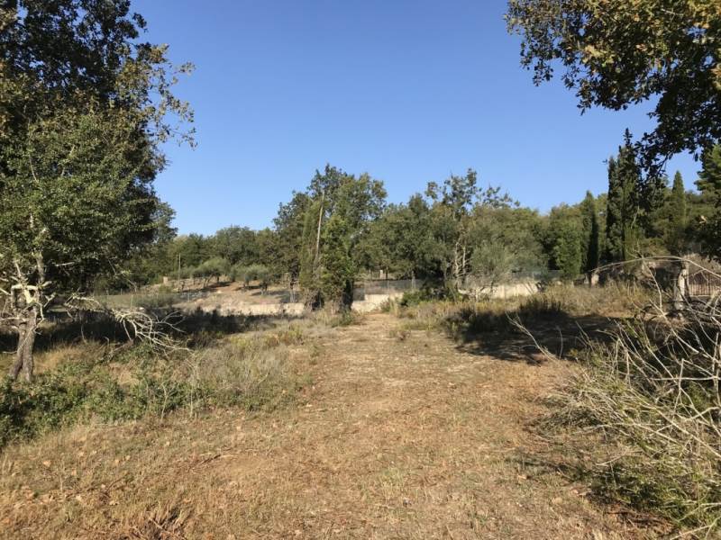 Listing photograph 1 of 4 of the land in Pikoulatika, published by Roula Rouva Real Estate.