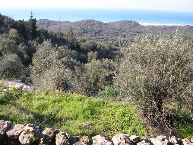 Listing photograph 4 of 5 of the land in Agios Pantaleimonas, published by Roula Rouva Real Estate.