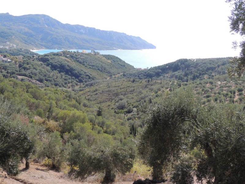 Listing photograph 8 of 11 of the land in Kavadades, published by Roula Rouva Real Estate.