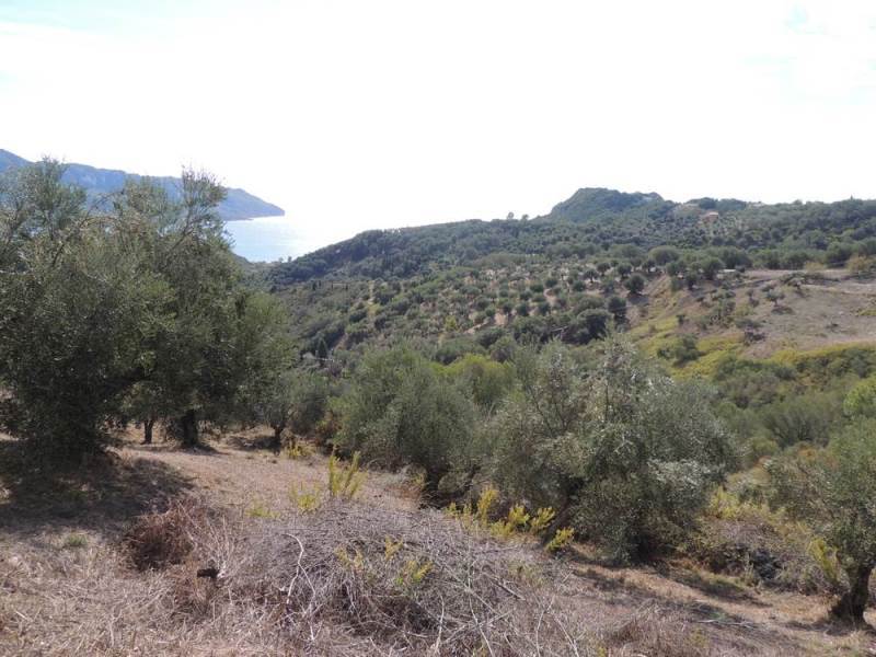 Listing photograph 11 of 11 of the land in Kavadades, published by Roula Rouva Real Estate.