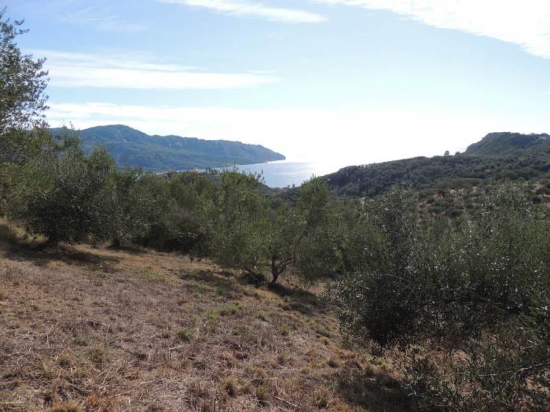 Listing photograph 6 of 11 of the land in Kavadades, published by Roula Rouva Real Estate.