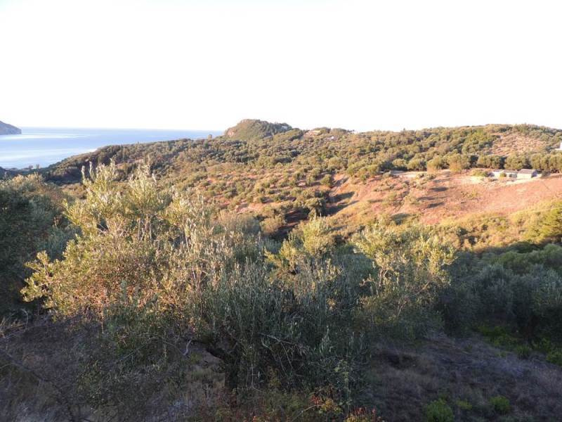 Listing photograph 5 of 11 of the land in Kavadades, published by Roula Rouva Real Estate.