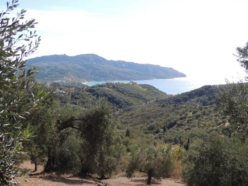 Listing photograph 4 of 11 of the land in Kavadades, published by Roula Rouva Real Estate.