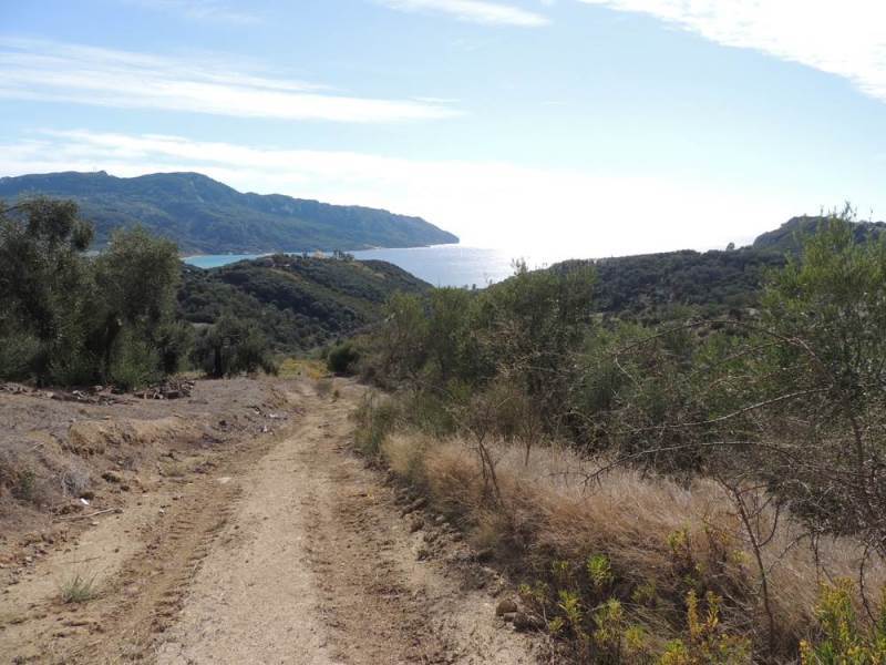 Listing photograph 10 of 11 of the land in Kavadades, published by Roula Rouva Real Estate.