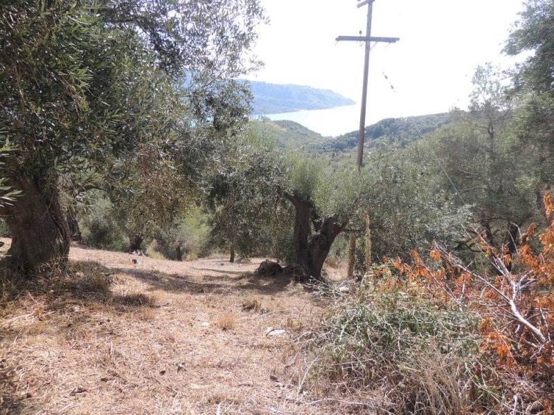 Listing photograph 2 of 11 of the land in Kavadades, published by Roula Rouva Real Estate.
