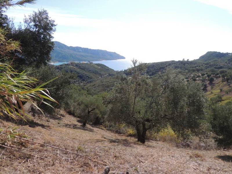 Listing photograph 9 of 11 of the land in Kavadades, published by Roula Rouva Real Estate.