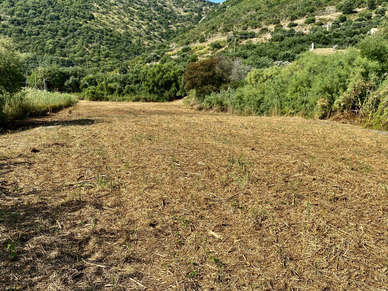 Listing photograph 3 of 10 of the land in Alykes Potamou, published by Roula Rouva Real Estate.