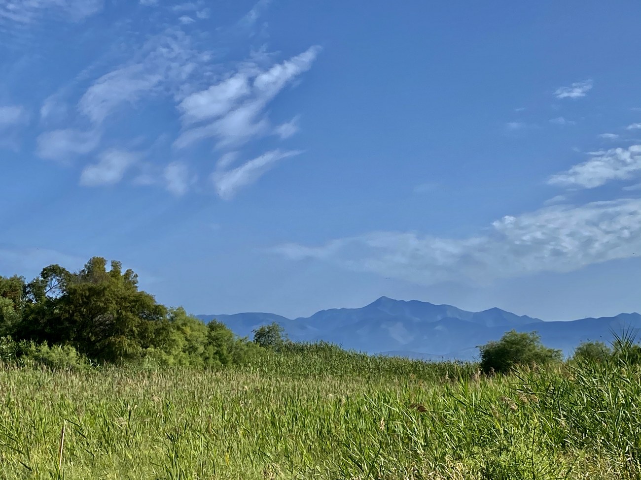 Listing photograph 7 of 10 of the land in Alykes Potamou, published by Roula Rouva Real Estate.