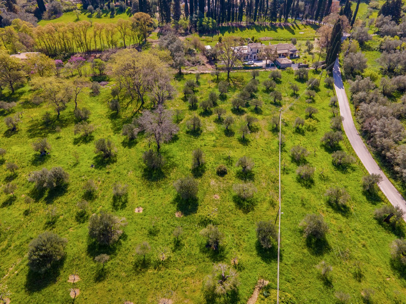 Listing photograph 2 of 5 of the land in Poulades, published by Roula Rouva Real Estate.