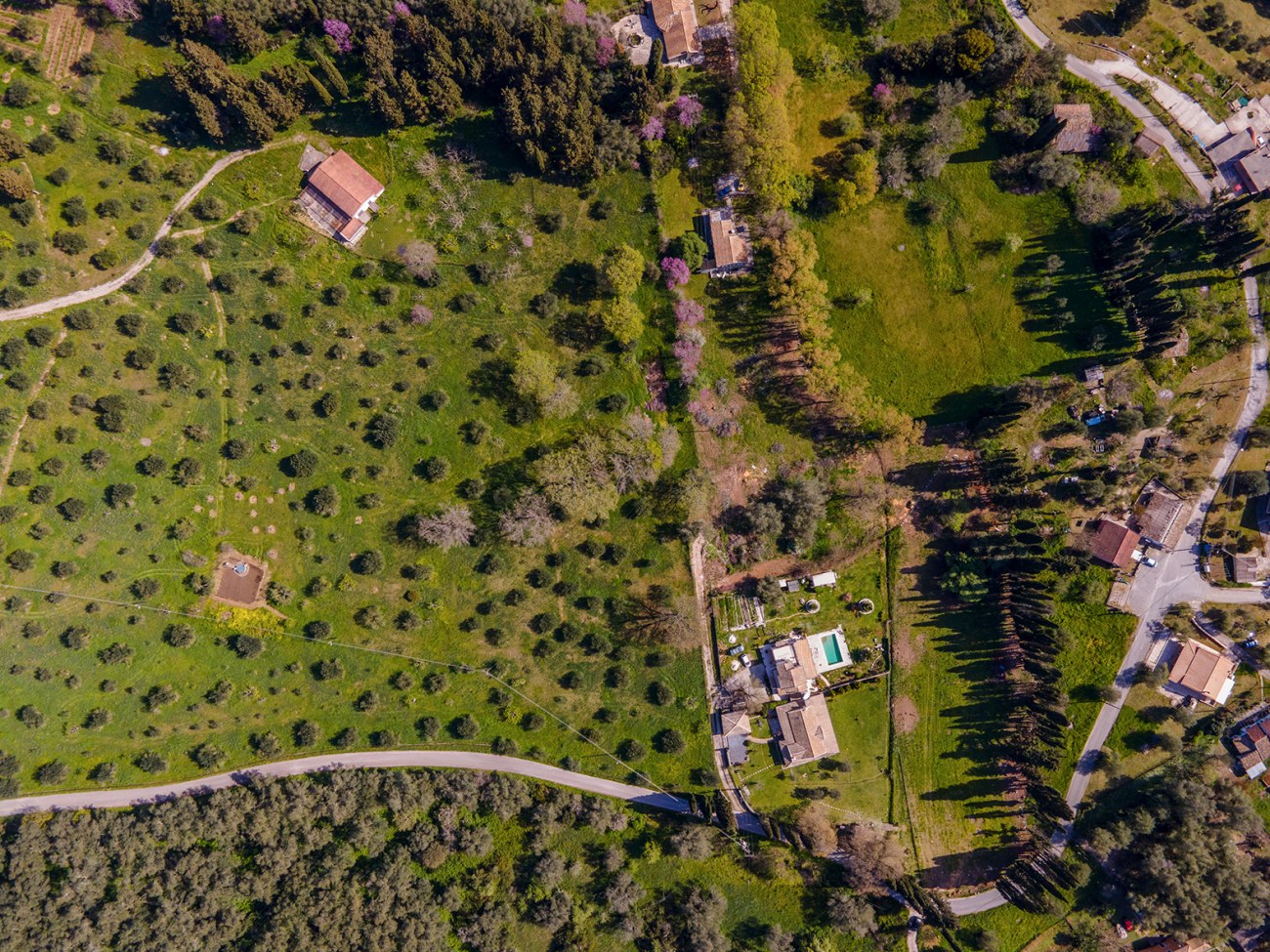 Listing photograph 5 of 5 of the land in Poulades, published by Roula Rouva Real Estate.