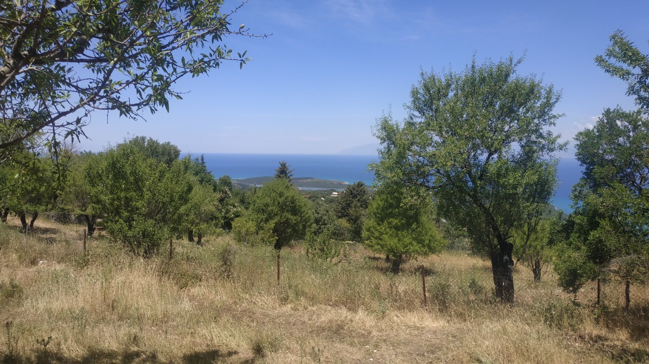 Listing photograph 2 of 4 of the land in Loutses, published by Roula Rouva Real Estate.