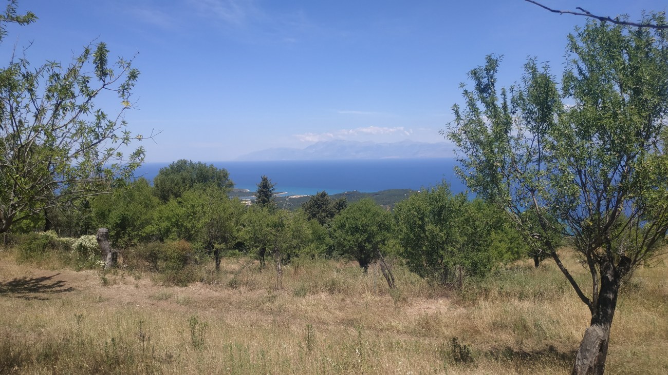Listing photograph 3 of 4 of the land in Loutses, published by Roula Rouva Real Estate.