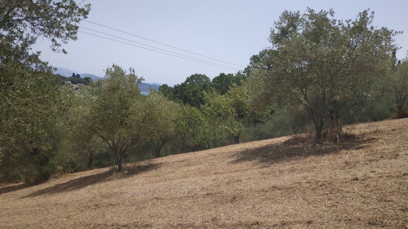Listing photograph 8 of 12 of the land in Kariotiko, published by Roula Rouva Real Estate.