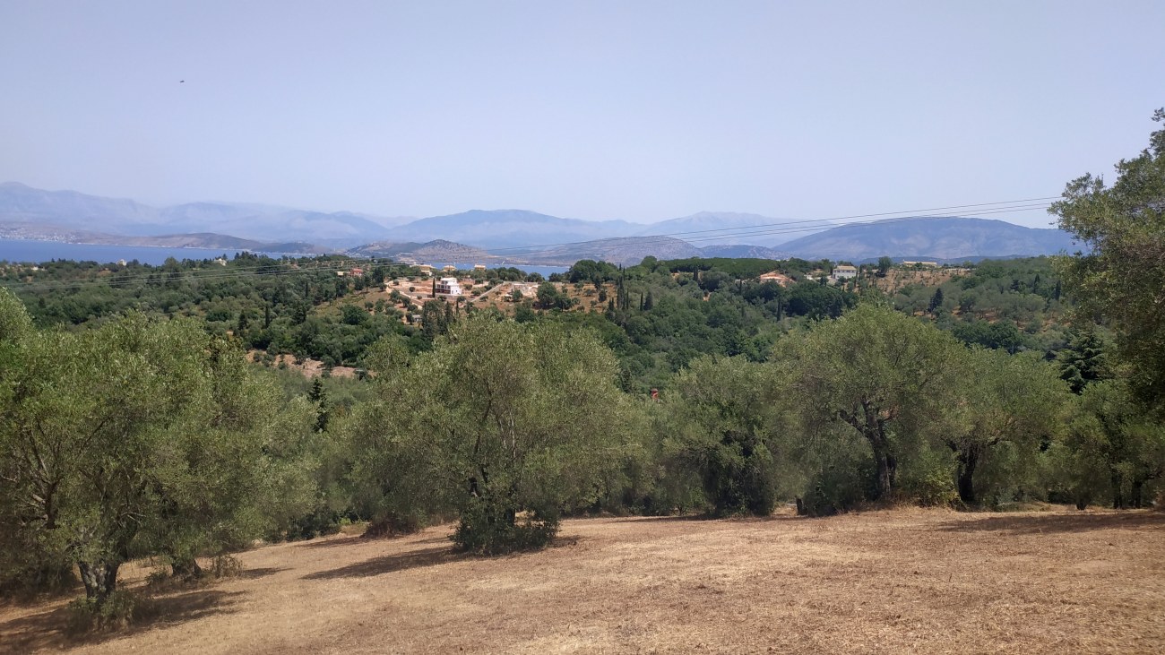 Listing photograph 4 of 12 of the land in Kariotiko, published by Roula Rouva Real Estate.