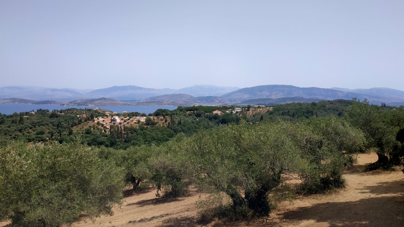 Listing photograph 5 of 12 of the land in Kariotiko, published by Roula Rouva Real Estate.