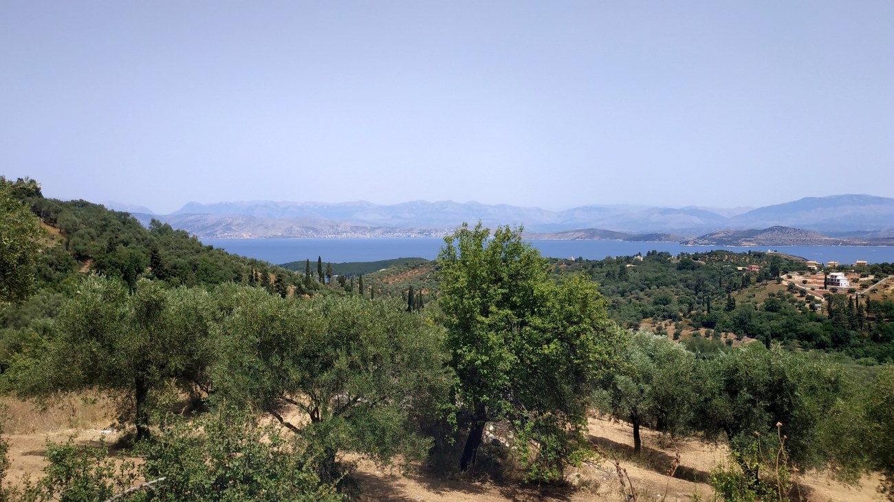 Listing photograph 11 of 12 of the land in Kariotiko, published by Roula Rouva Real Estate.