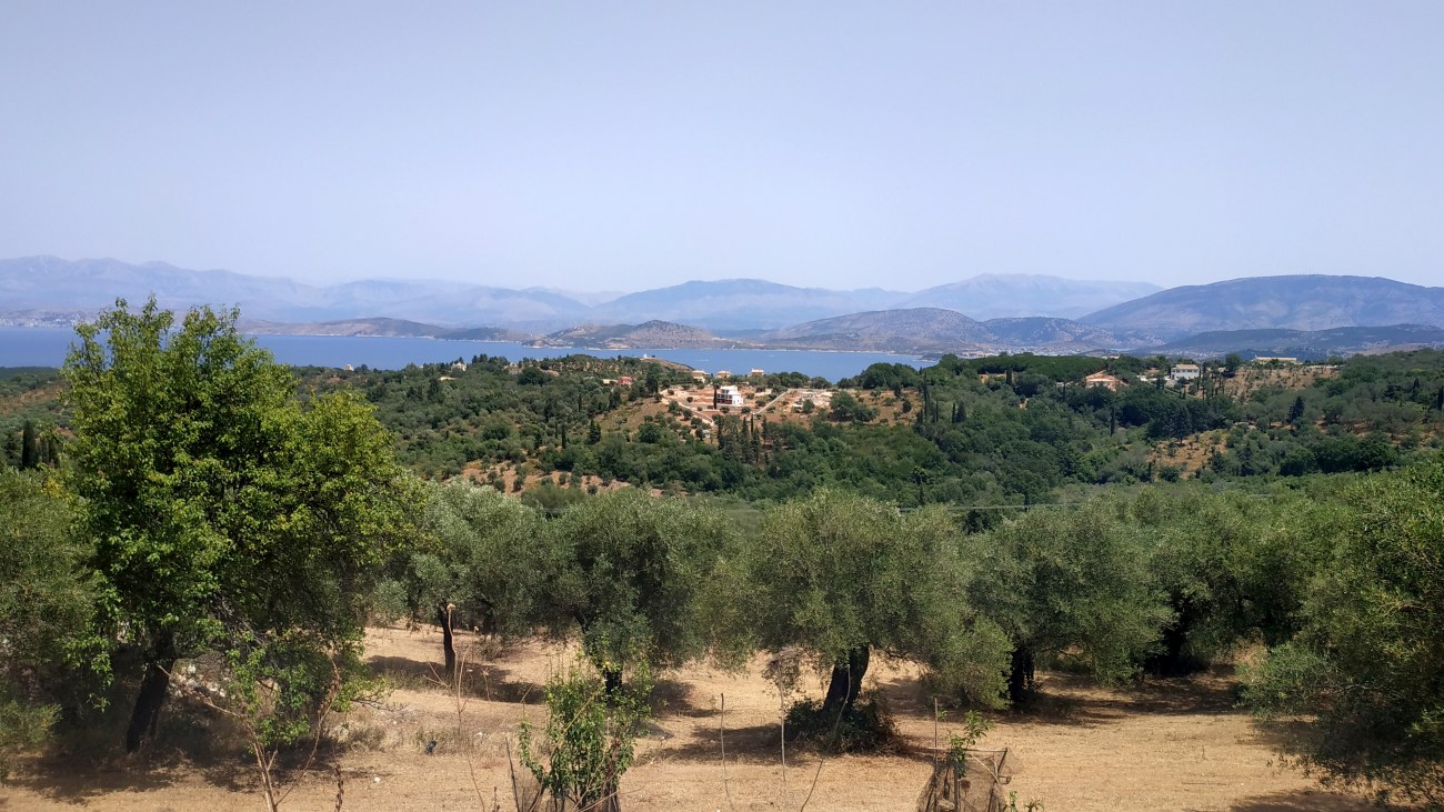 Listing photograph 10 of 12 of the land in Kariotiko, published by Roula Rouva Real Estate.