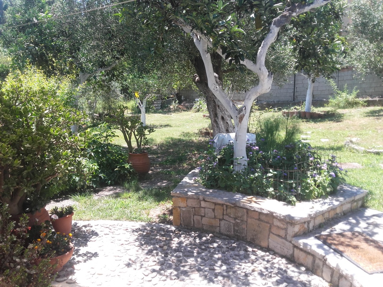 Listing photograph 10 of 11 of the house in Alykes Potamou, published by Roula Rouva Real Estate.
