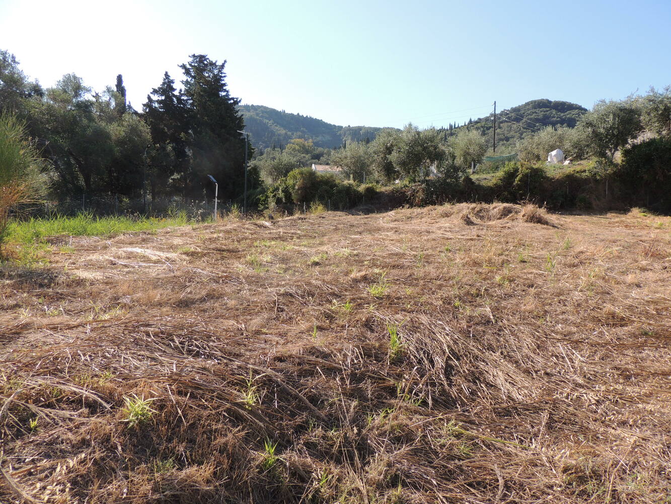 Listing photograph 4 of 7 of the land in Agios Georgios, Northern Corfu, published by Roula Rouva Real Estate.