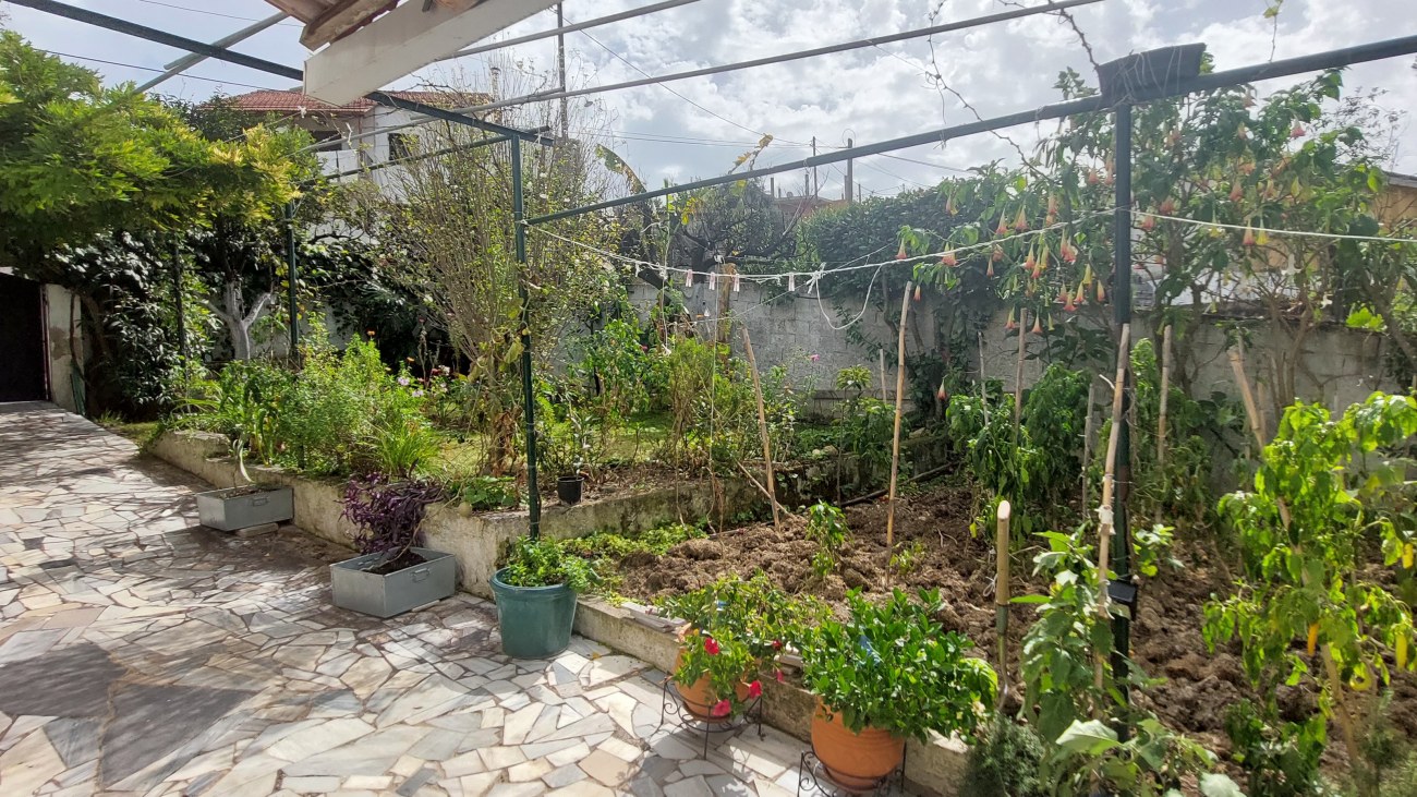 Listing photograph 8 of 11 of the house in Boukaris, published by Roula Rouva Real Estate.