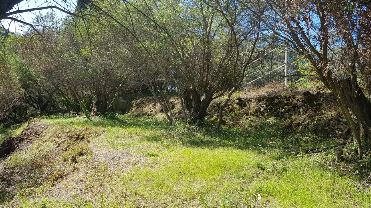 Listing photograph 5 of 8 of the land in Agii Deka, published by Roula Rouva Real Estate.