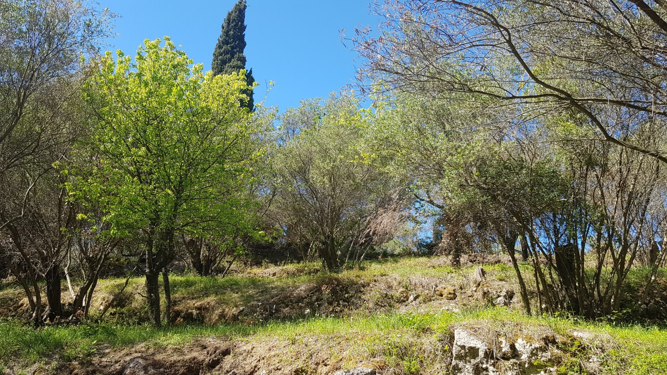 Listing photograph 6 of 8 of the land in Agii Deka, published by Roula Rouva Real Estate.