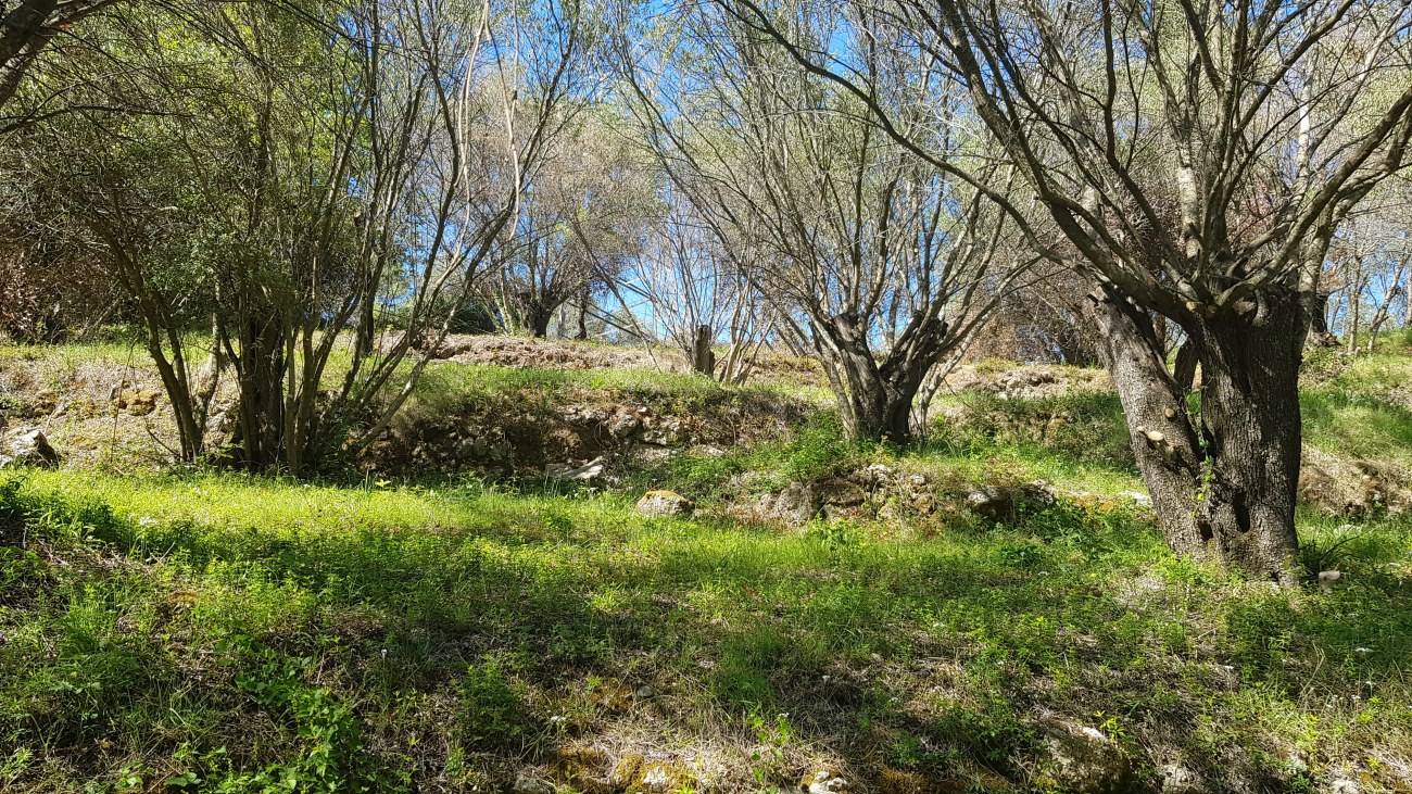 Listing photograph 7 of 8 of the land in Agii Deka, published by Roula Rouva Real Estate.