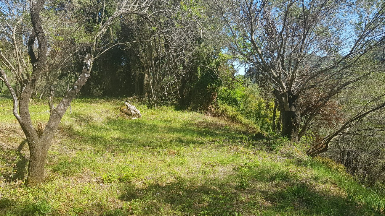Listing photograph 4 of 8 of the land in Agii Deka, published by Roula Rouva Real Estate.