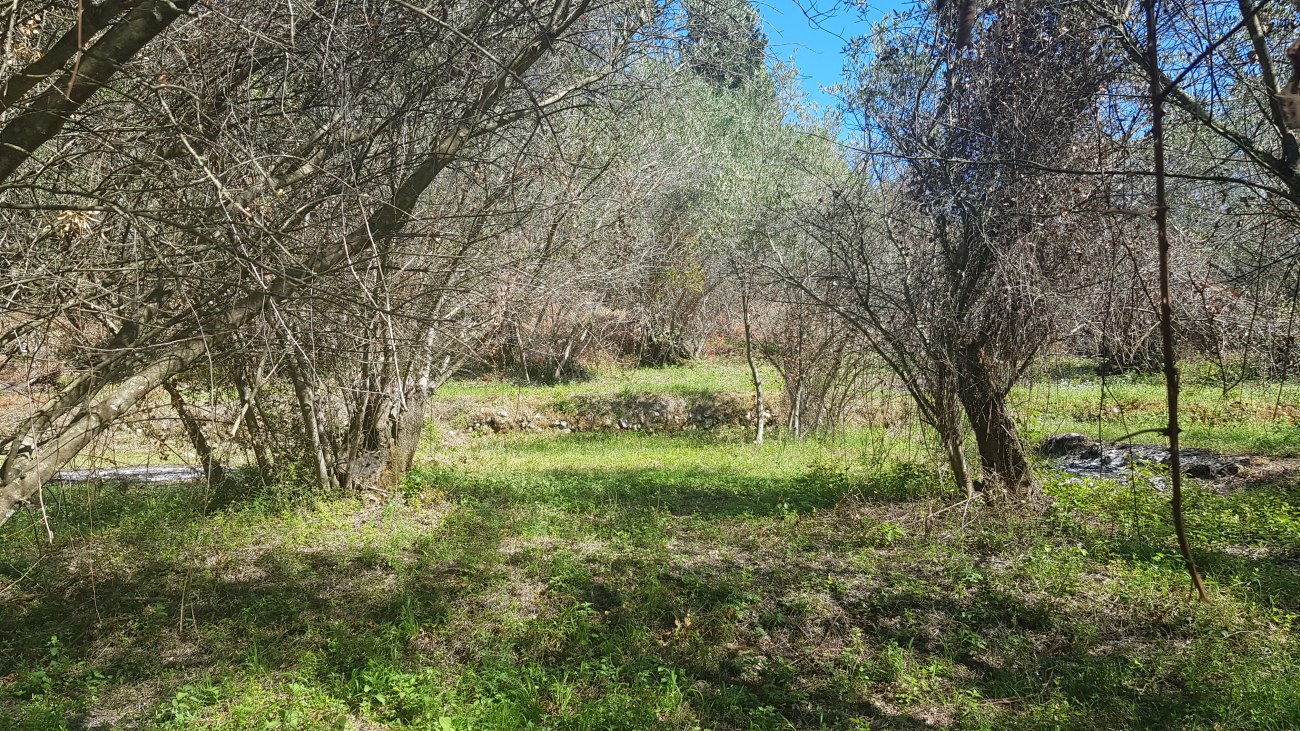 Listing photograph 8 of 8 of the land in Agii Deka, published by Roula Rouva Real Estate.