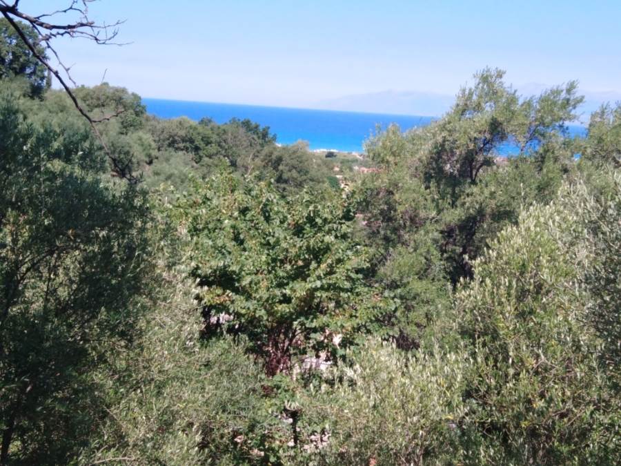 Listing photograph 7 of 7 of the land in Alykes Potamou, published by Roula Rouva Real Estate.