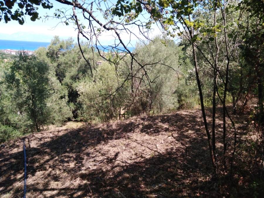 Listing photograph 2 of 7 of the land in Alykes Potamou, published by Roula Rouva Real Estate.