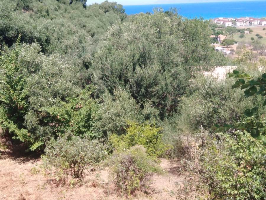 Listing photograph 3 of 7 of the land in Alykes Potamou, published by Roula Rouva Real Estate.