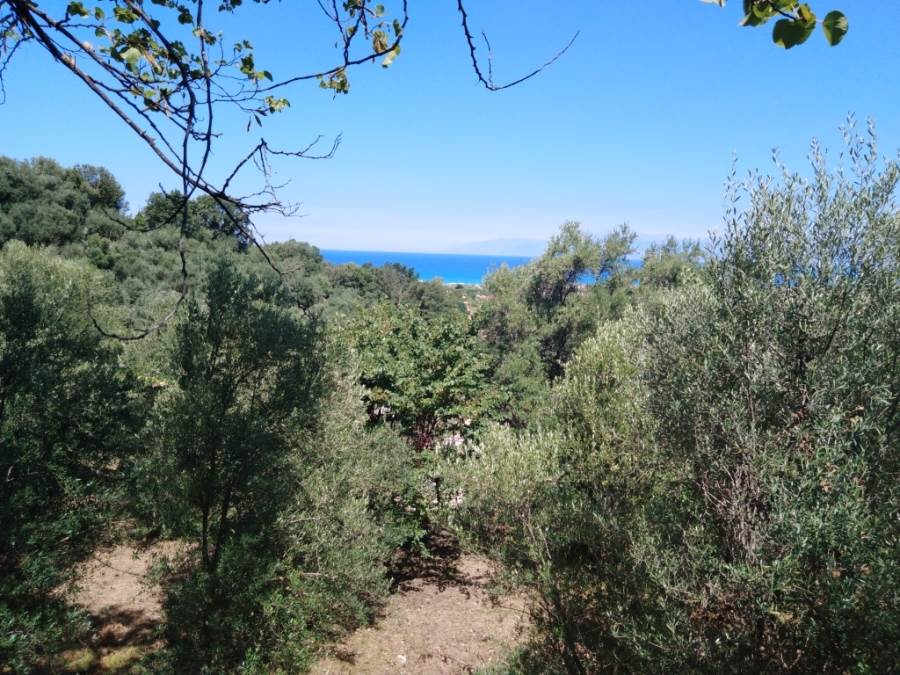 Listing photograph 4 of 7 of the land in Alykes Potamou, published by Roula Rouva Real Estate.