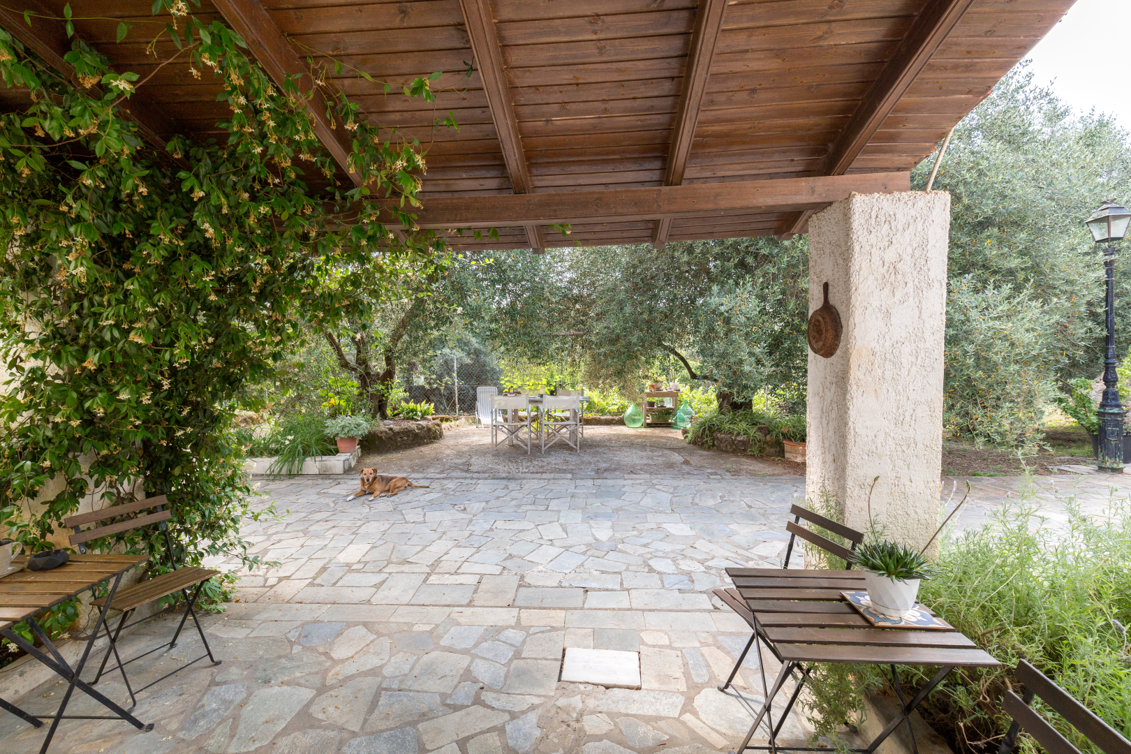 Listing photograph 25 of 25 of the commercial in Alykes Potamou, published by Roula Rouva Real Estate.