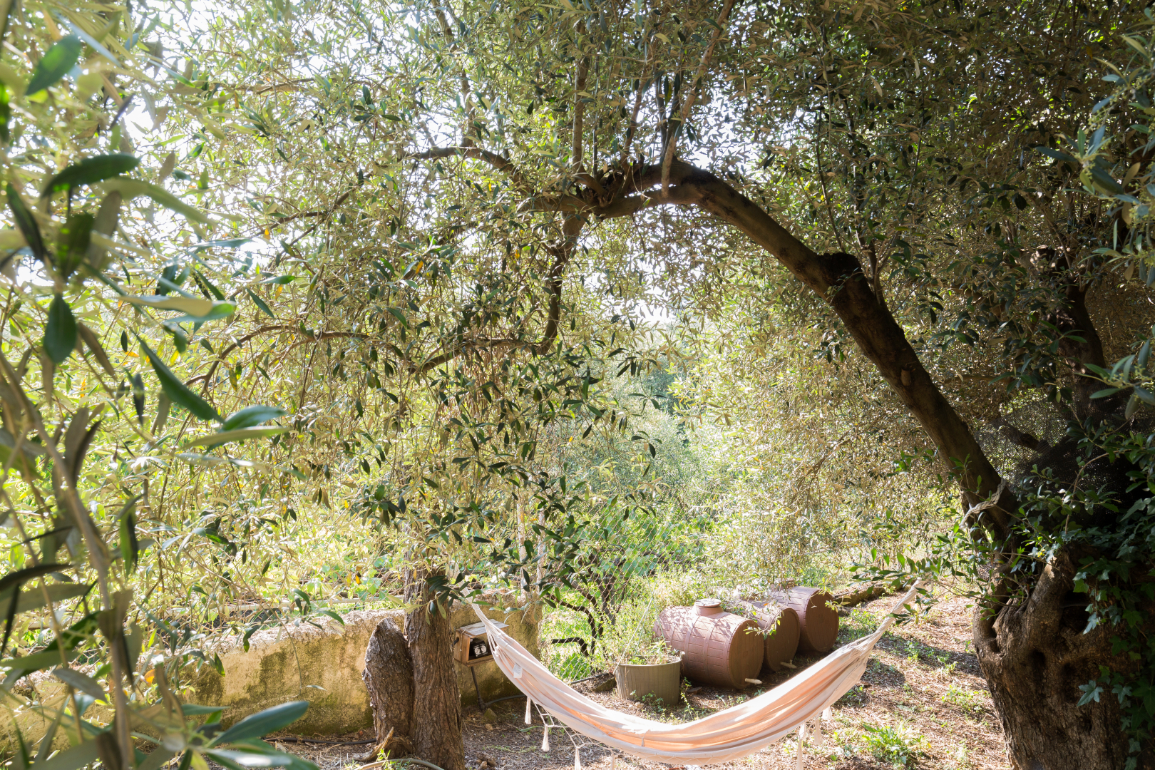 Listing photograph 9 of 25 of the commercial in Alykes Potamou, published by Roula Rouva Real Estate.