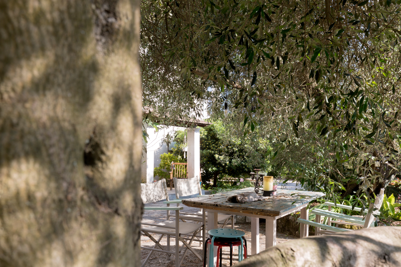 Listing photograph 8 of 25 of the commercial in Alykes Potamou, published by Roula Rouva Real Estate.