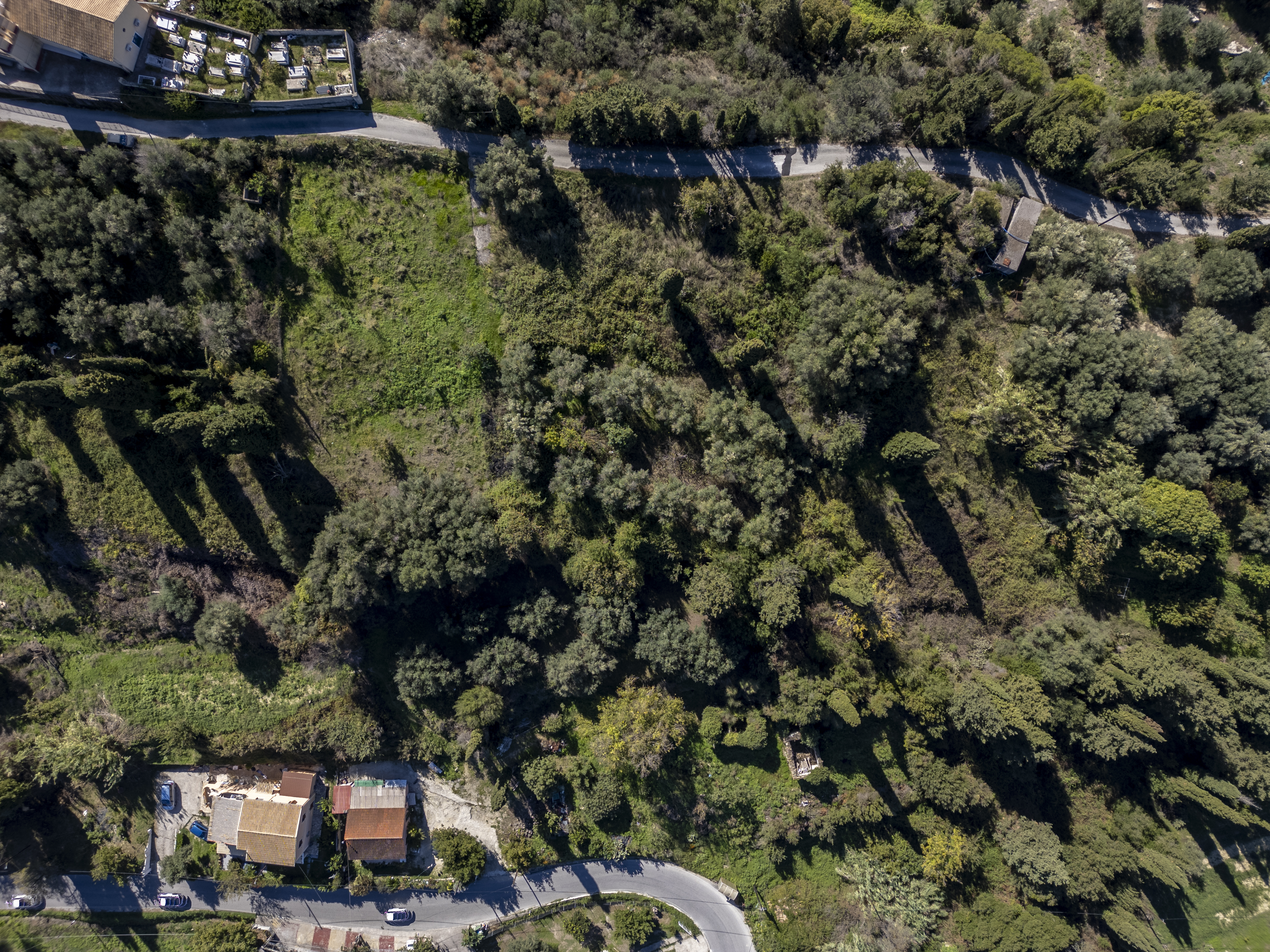 Listing photograph 3 of 10 of the land in Dafni, published by Roula Rouva Real Estate.