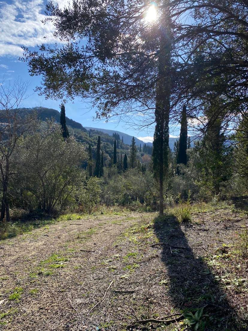 Listing photograph 2 of 3 of the land in Agros, published by Roula Rouva Real Estate.