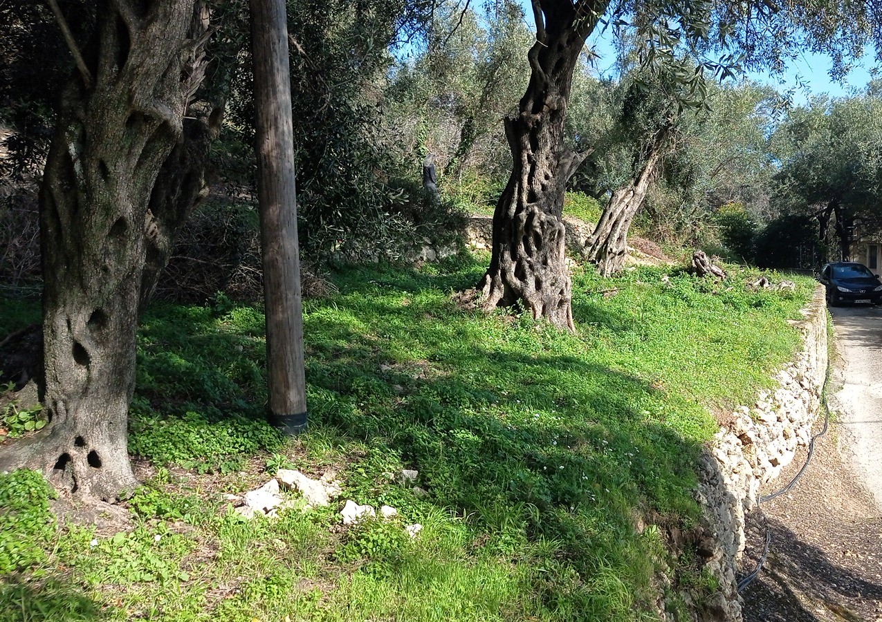 Listing photograph 2 of 7 of the land in Gastouri, published by Roula Rouva Real Estate.