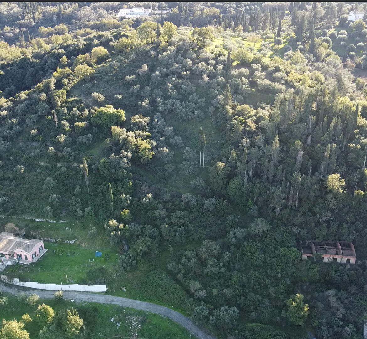 Listing photograph 8 of 8 of the land in Kalafationes, published by Roula Rouva Real Estate.