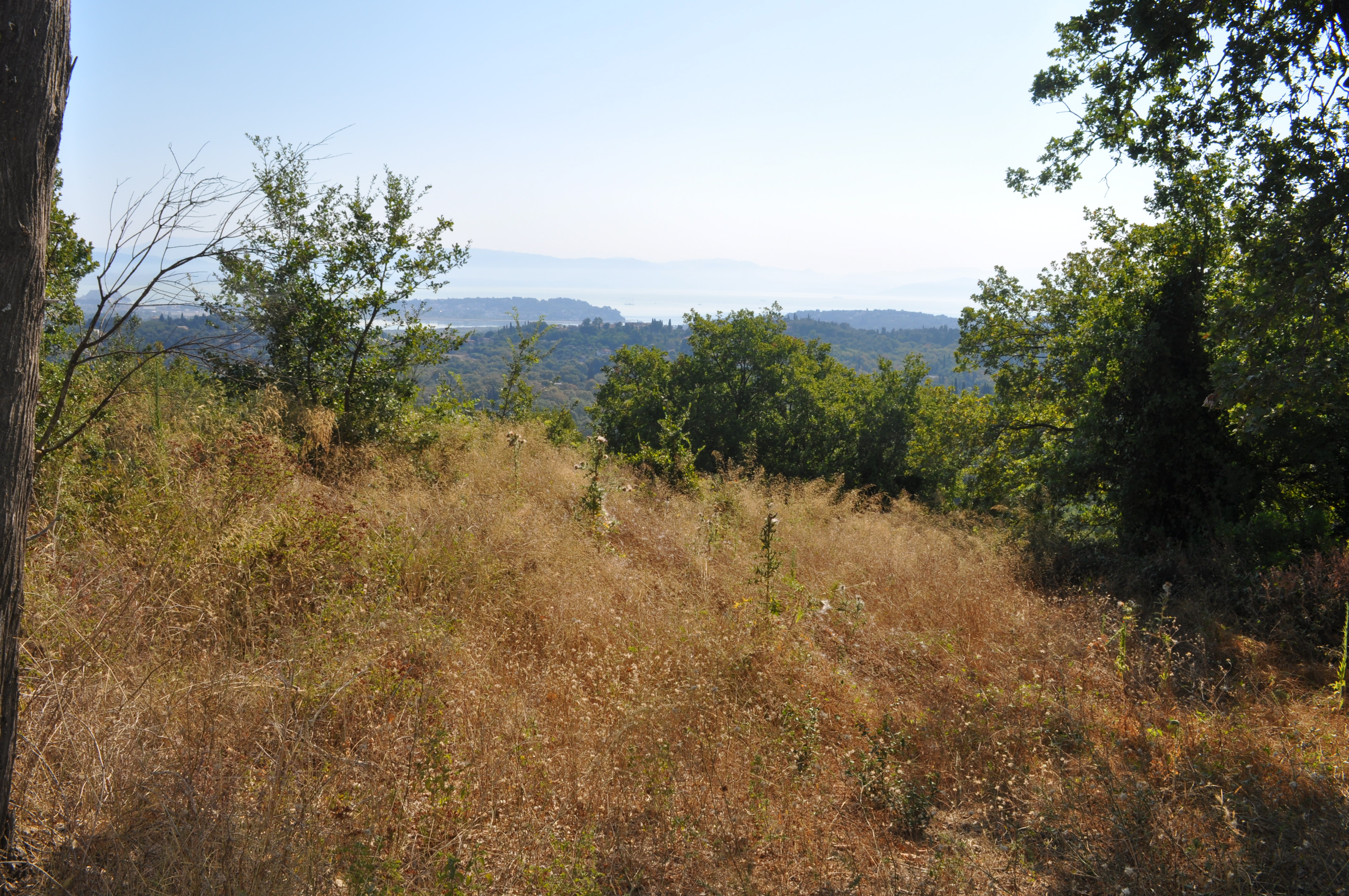 Listing photograph 4 of 8 of the land in Kalafationes, published by Roula Rouva Real Estate.