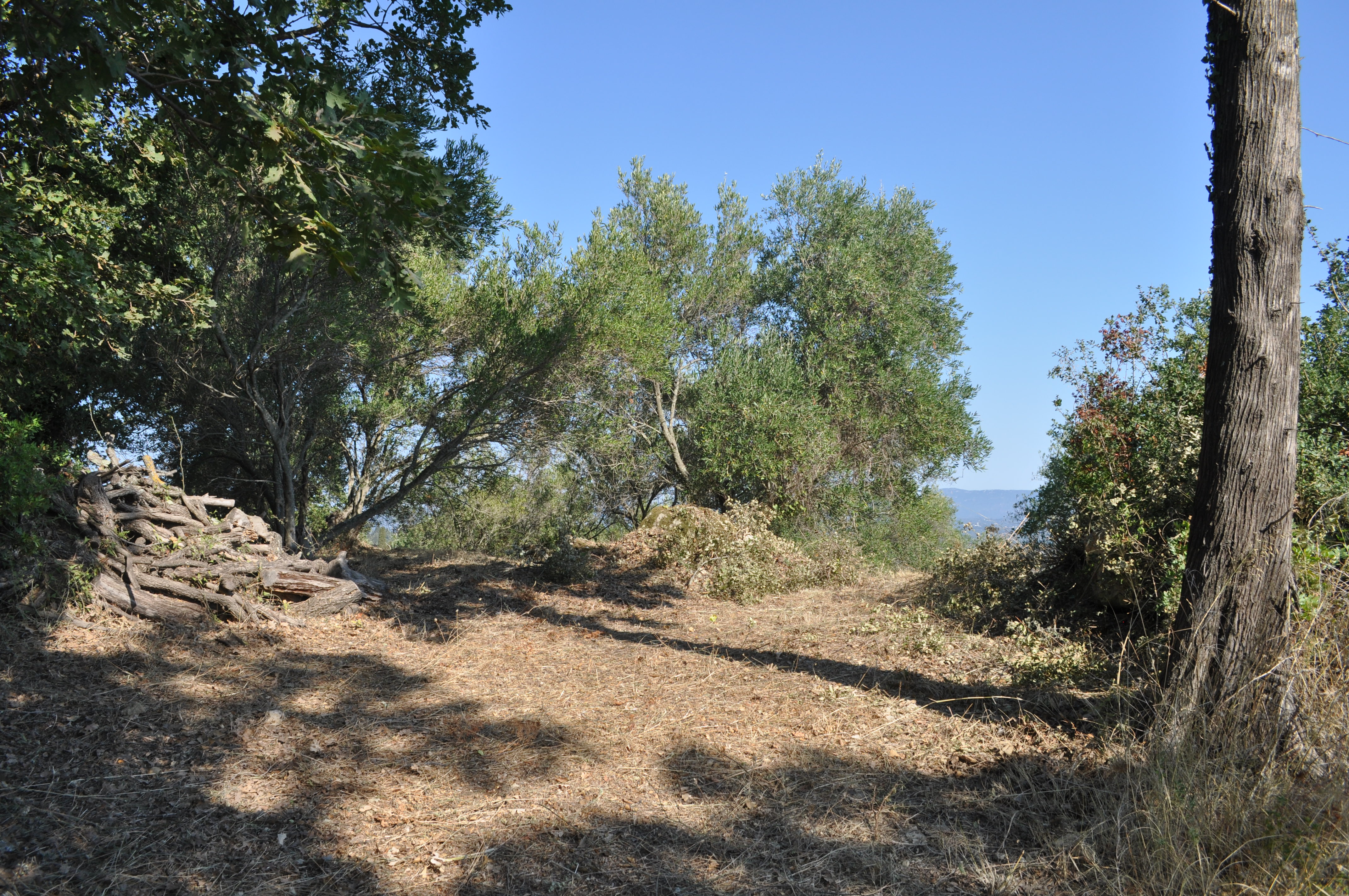 Listing photograph 6 of 8 of the land in Kalafationes, published by Roula Rouva Real Estate.