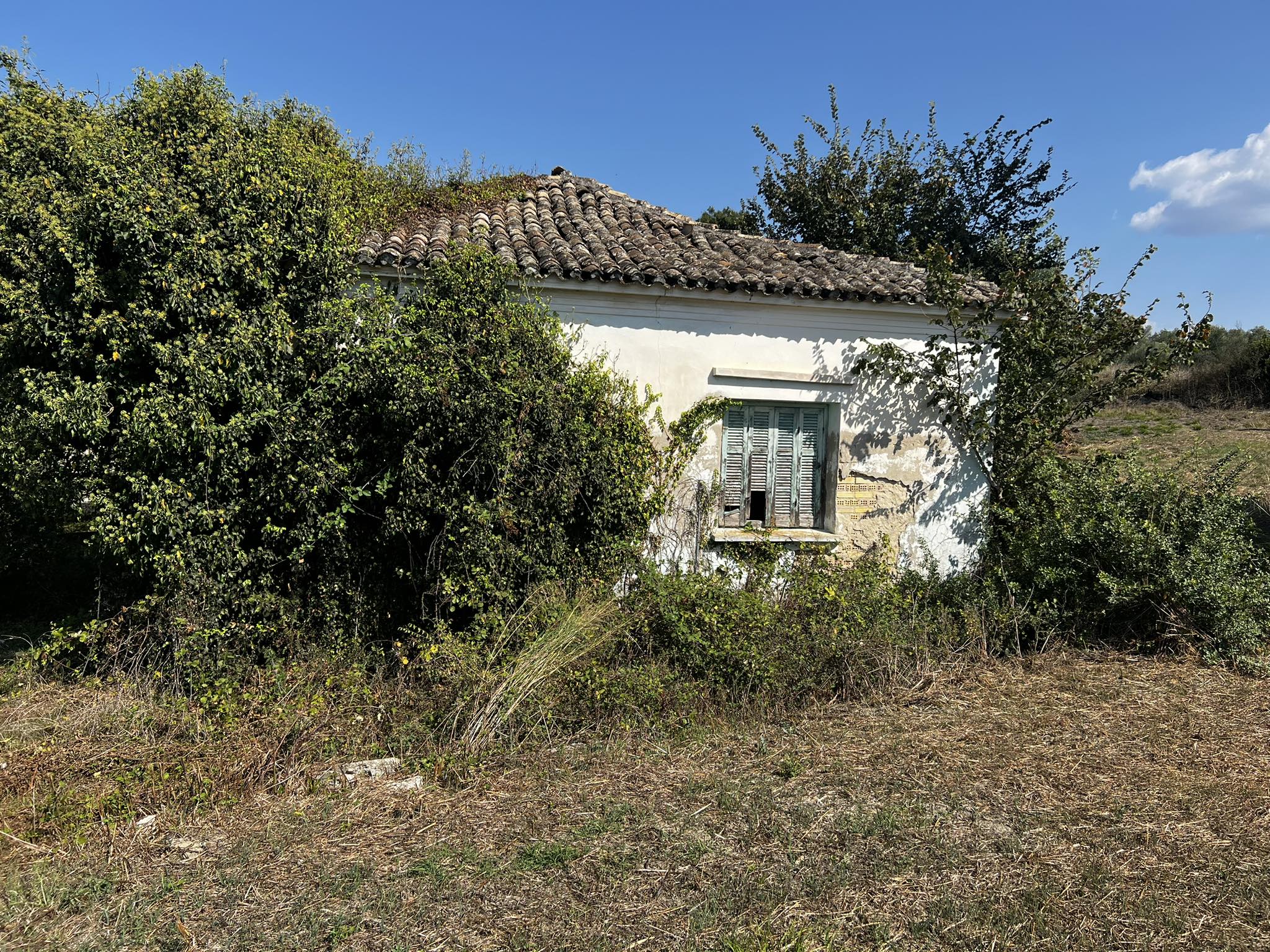 Listing photograph 5 of 7 of the land in Agrafi, published by Roula Rouva Real Estate.