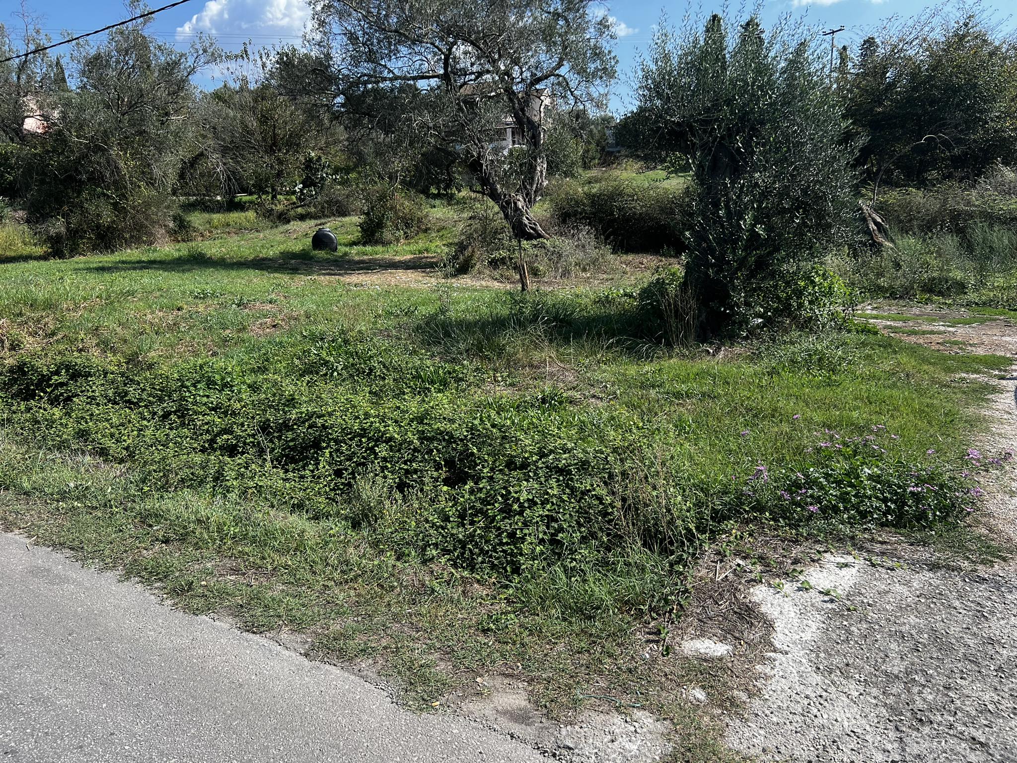 Listing photograph 6 of 7 of the land in Agrafi, published by Roula Rouva Real Estate.
