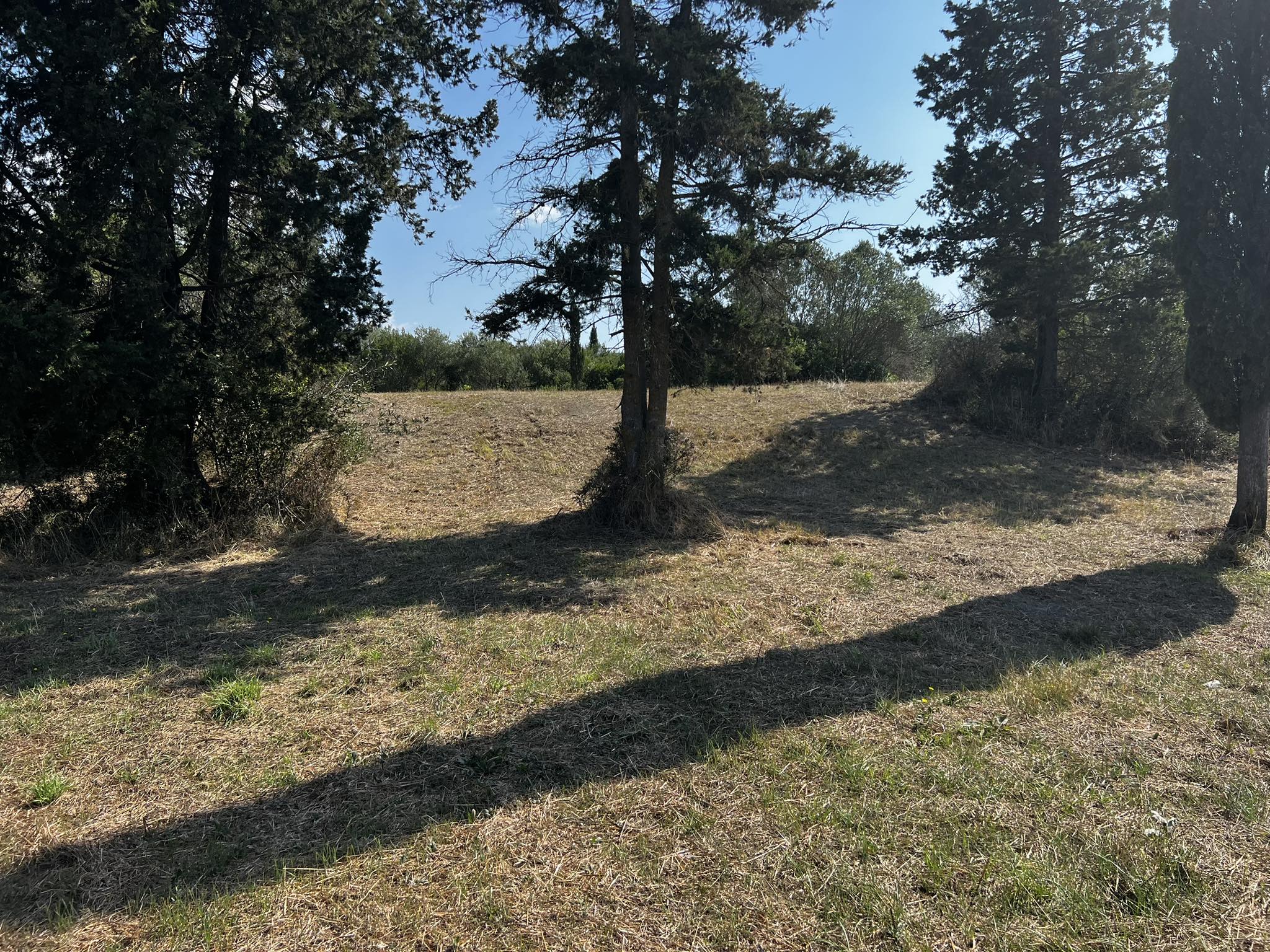 Listing photograph 2 of 7 of the land in Agrafi, published by Roula Rouva Real Estate.