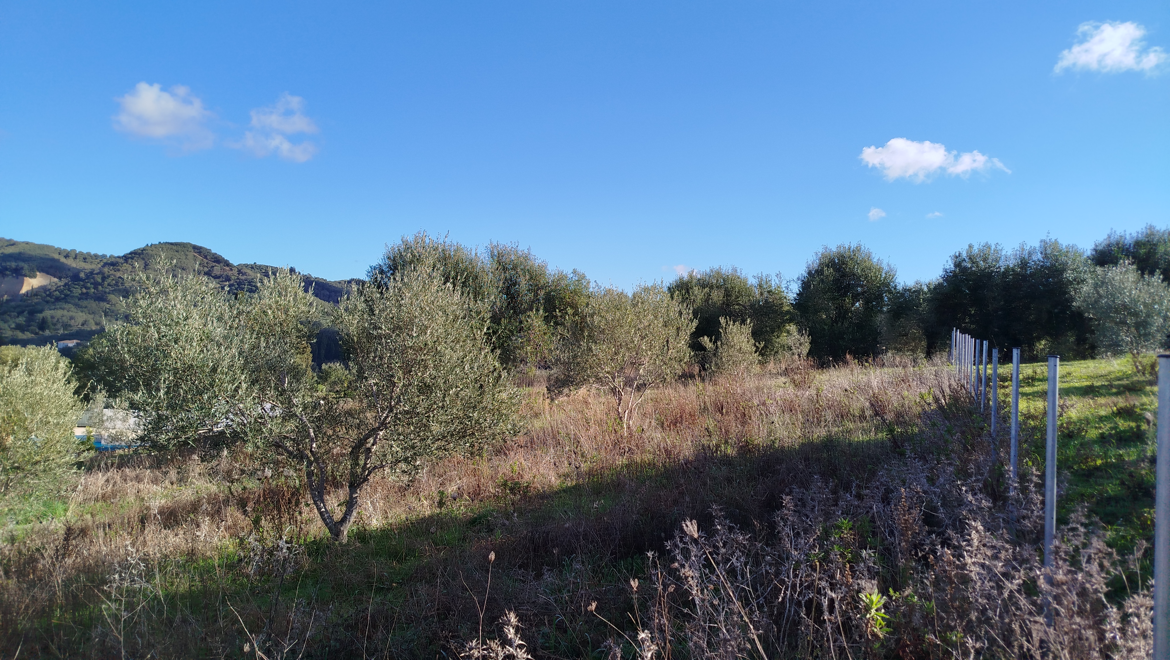 Listing photograph 2 of 6 of the land in Arilas, published by Roula Rouva Real Estate.