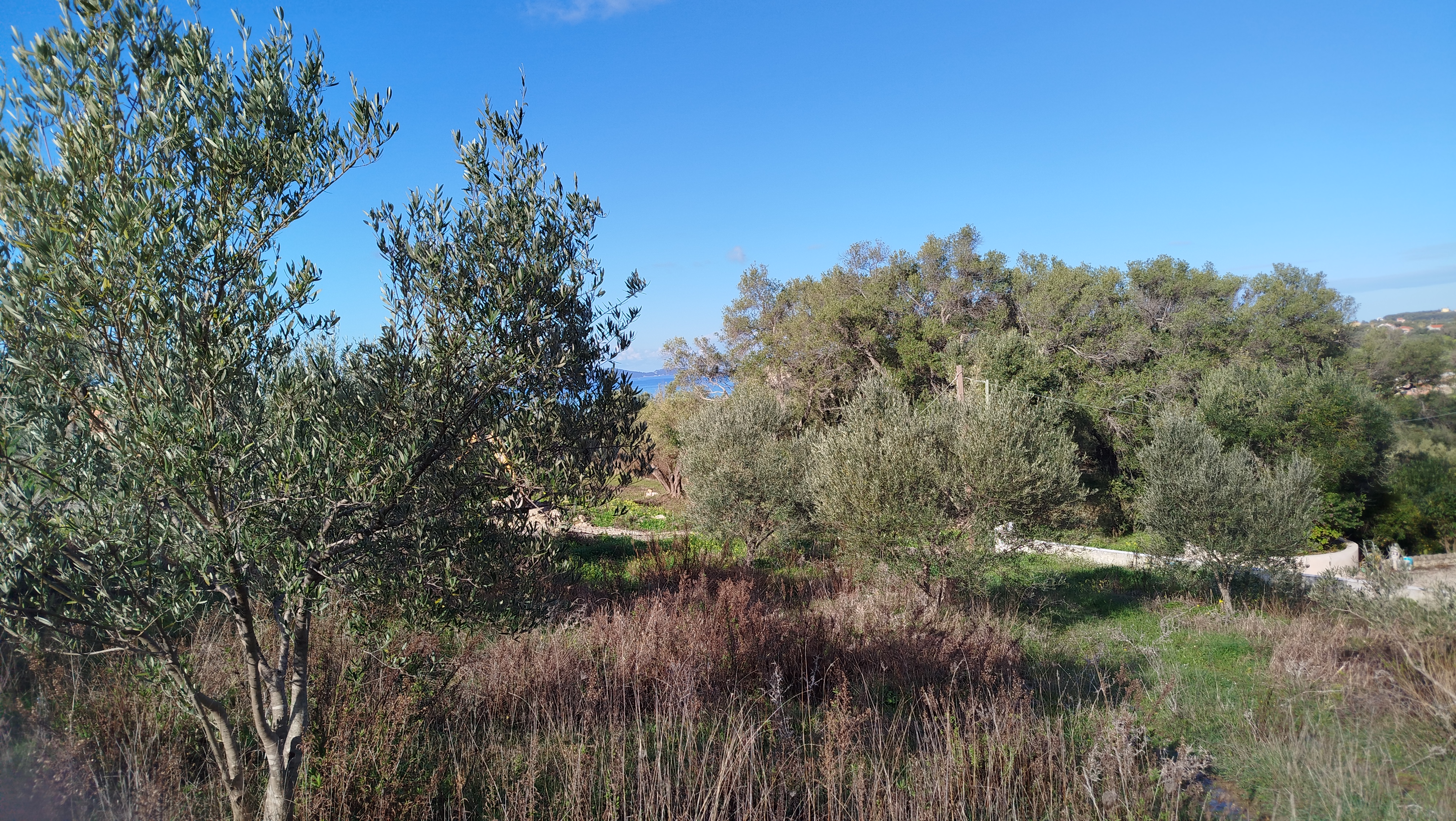 Listing photograph 6 of 6 of the land in Arilas, published by Roula Rouva Real Estate.